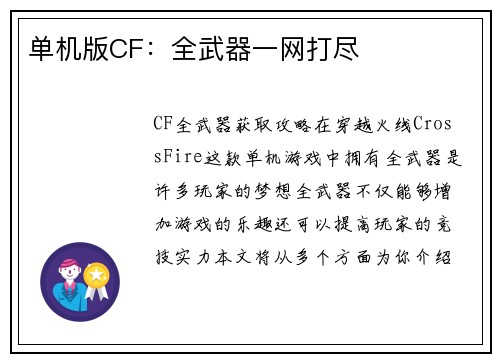 单机版CF：全武器一网打尽