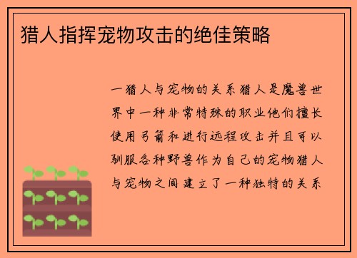 猎人指挥宠物攻击的绝佳策略